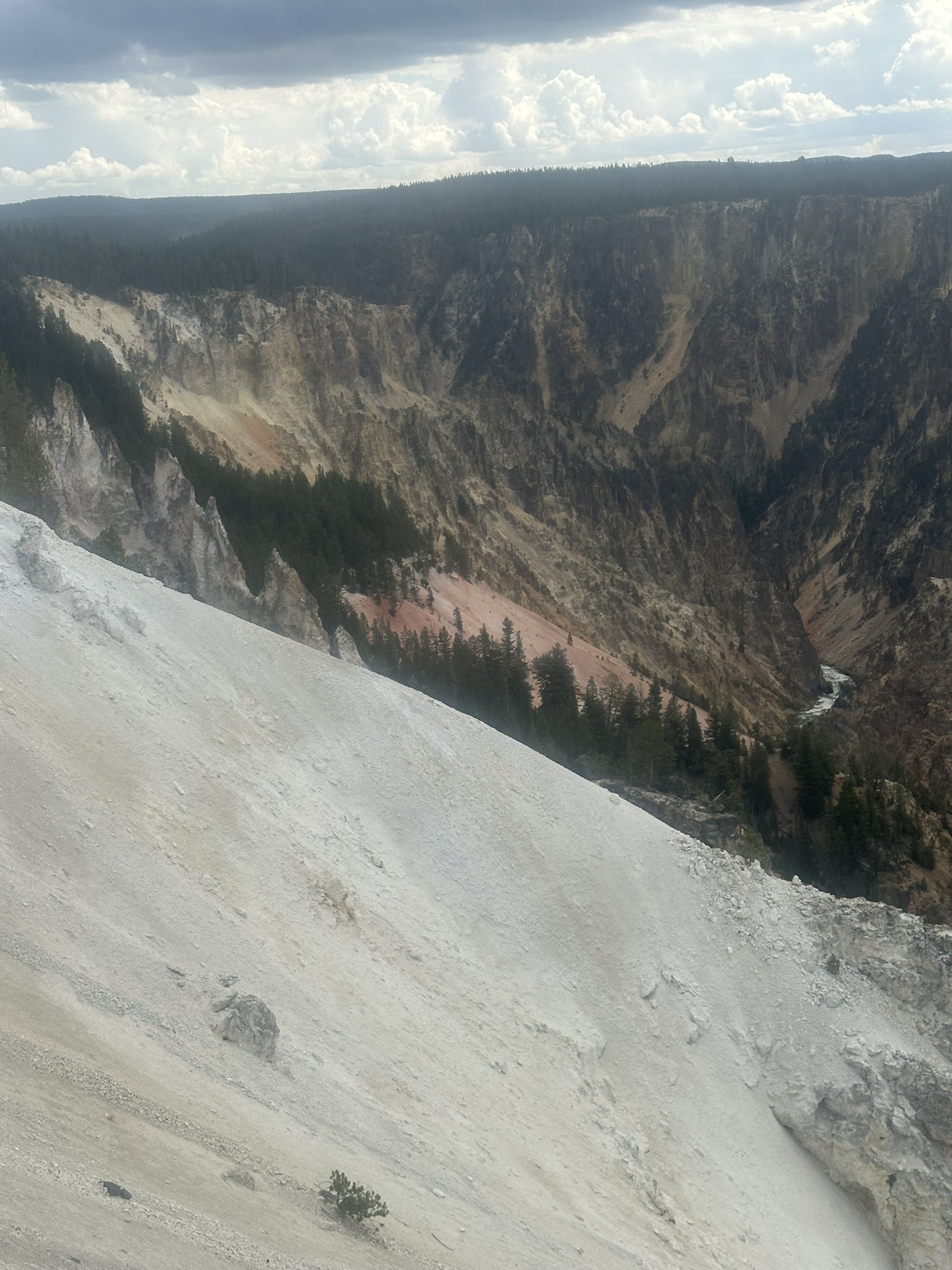 Yellowstone And Grand Teton National Parks - Image 620